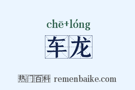 车龙是什么意思的图片